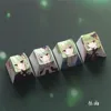 Banka C Senren
