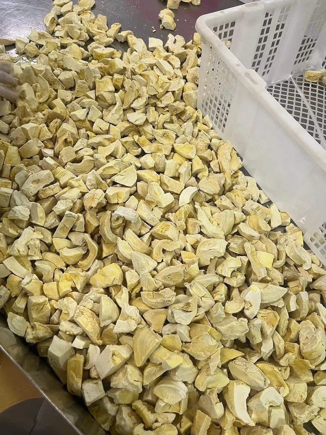 Durian Powder Wholesale Bulk - Natural & No Additives H1ff74686116348ae9d388b0e57942573W