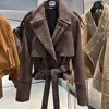 023 Daim marron