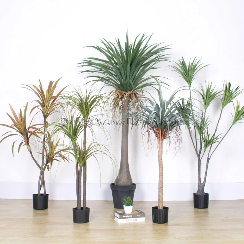 artificial jade plant dragon fruit plant blood plastic plant