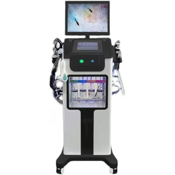 High Quality 10-in-1 Black Pearl Multi-Function Facial Machine HD Beauty Instrument for Hair and Skin Salon Equipment