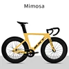 Mimosa jaune