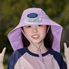 Viola