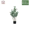 Money Tree - 90cm