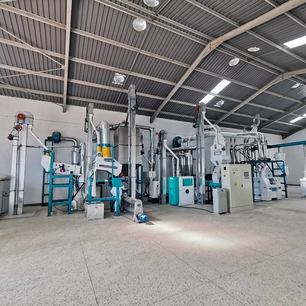 Maize Milling Machine Produce Maize Flour Do FUFU Sadza Ugali and Nshima in Zambia Kenya with Installation