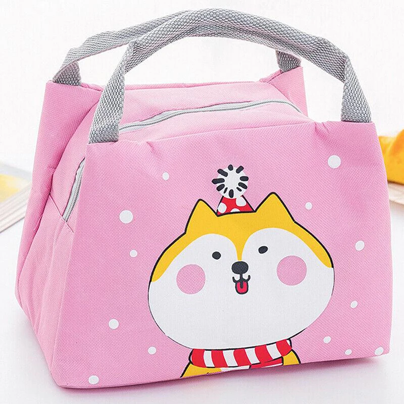 Lunch bags for school kids Insulated and Portable Lunch Box Animal for School and Travel Food Boxes