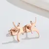 Dinosaur Rose Gold