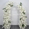 ARCH021d