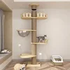 5 livelli Premium