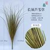 17*30 bundles of long-haired reeds, grass green