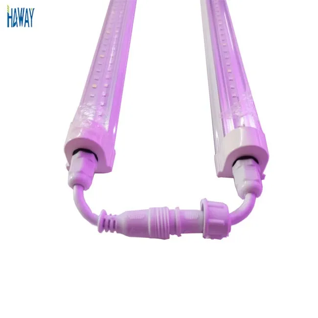 T5 T8 Integrated LED Tube for Lighting New Style Hottest Product 18w Luminous White Light Cool Warm 3000K SMD Clear Body Lamp