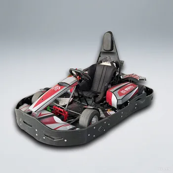 Kupao Karting Club Commercial Petrol Go Karts for Adults 200cc Gasoline Karting Car 60km/h High Performance Drift Racing Gokart