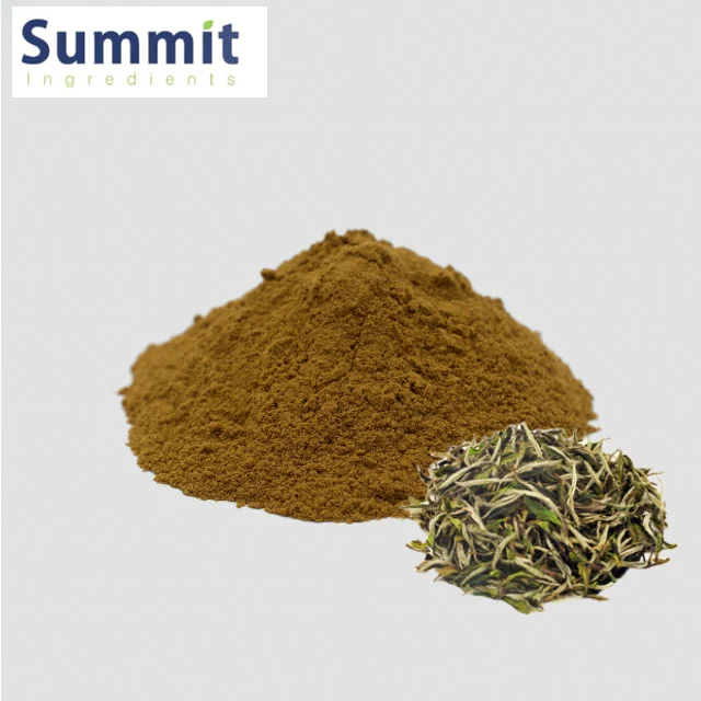 Hot Sale White Tea Extract 50 Polypehnols Powder White Tea Powder Buy White Tea Extract White