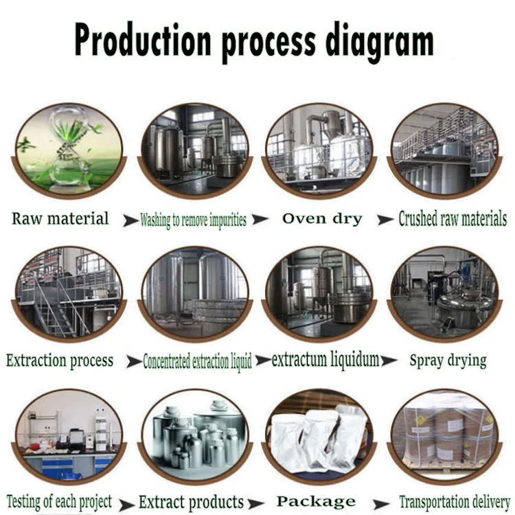 Factory Supply 100% Natural Onion Extract Concentrate Liquid Allium Cepa Extract Liquid Onion Flavor