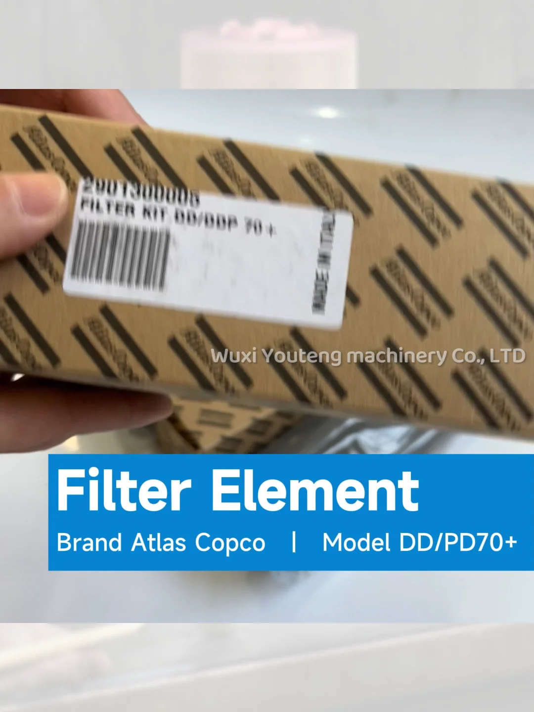 Atlas Copco Air Compressor 2901300005 1629054705 Filter Kit Dd Ddp 70
