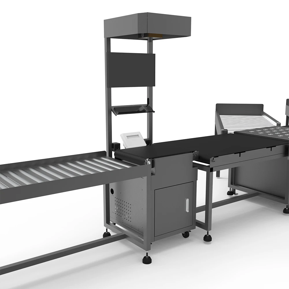 Monolithiot Parcels Conveyor Sorting Tracking Checking Barcode Dimensioning Weighing Scanning