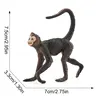 3617 mono araña-17g