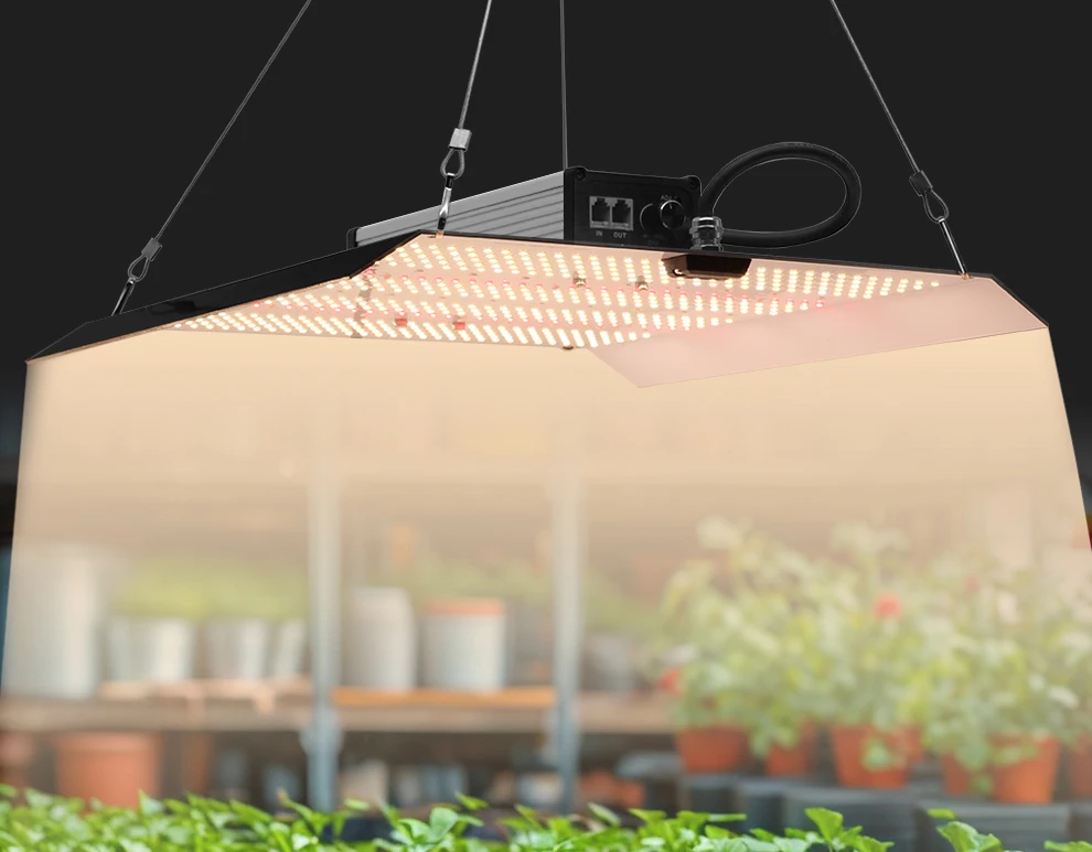 Lampada LED per la coltivazione a spettro completo ad alta potenza, dissipazione del calore efficiente, interruttore indipendente SMD3030, funzione dimmerabile da 200 W, AC100-240 V_voghion.com