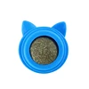 Blue cat