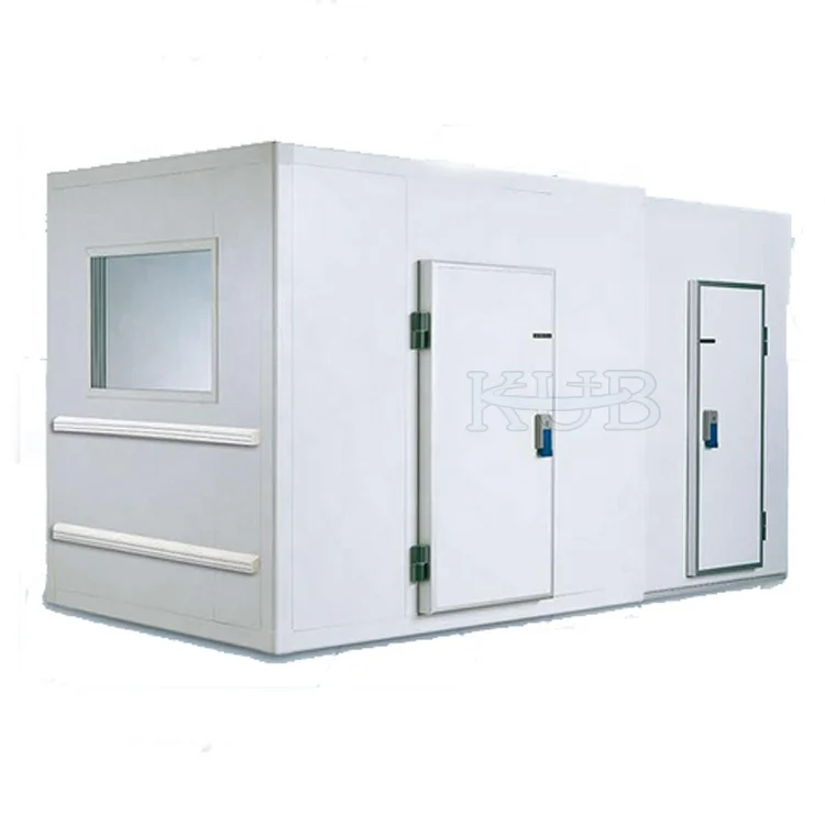 Minus 18 Degrees Centigrade 13 Cubic Meters Frozen Cold Room for Meat and Fish Storage