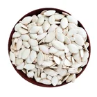 Competitive Shell Competitive Price High Quality Big Size Bulk White Shine Skin Raw In Shell Pumpkin Seeds Kernels