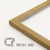 FB101-300