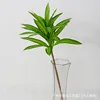 Bambou à tige unique (vert)