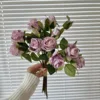 Pourpre