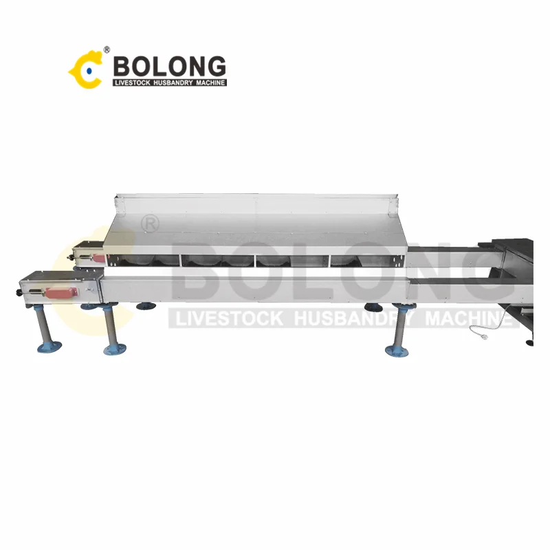 Automatic Chicken Egg Collector Roll Away Chicken Egg Collector Chicken Nesting Box with Automatic Eggs Collector