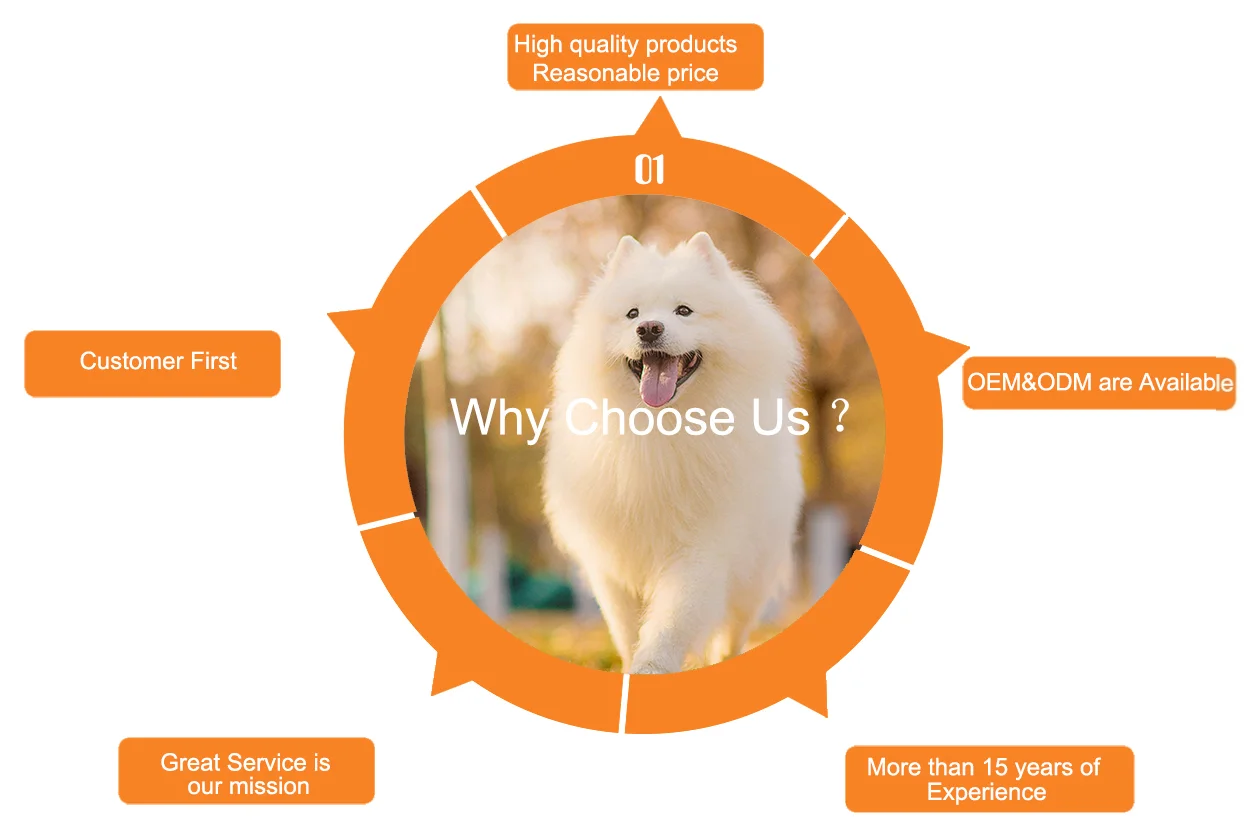 Wooden Dog Ramp Pet Steps 2 In 1 Foldable Dog Stairs Pet Ladder For Bed And Cars Buy Dog