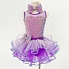 Purple Dance Wear