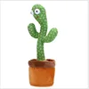 Versione a batteria Cactus - Inglese