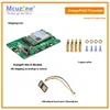 Standard B (adapter board) copper pillar