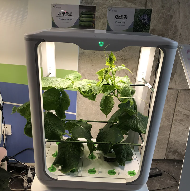 Mini greenhouse-18.png