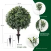 Ground inserted boxwood style