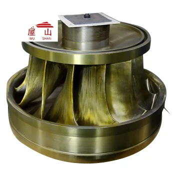 Générateur Hydroélectrique Kaplan Bayoung 1KW - Turbine Domestique 220V