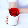 Rosso (Scatola bianca)