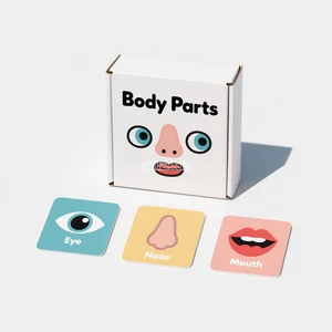 Factory Custom Design Learning Vocabulary Family Entertainment Customized logo Flash Cards