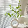 Vase circulaire de Pieris japonica