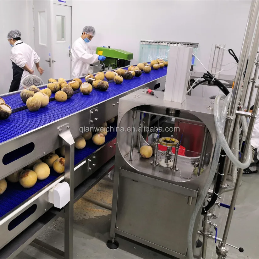 High Automatic Coconut Milk Drink Making Machine Coconut Water Processing Line Production