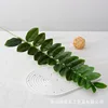 Árbol del dinero de 25 hojas - 93M