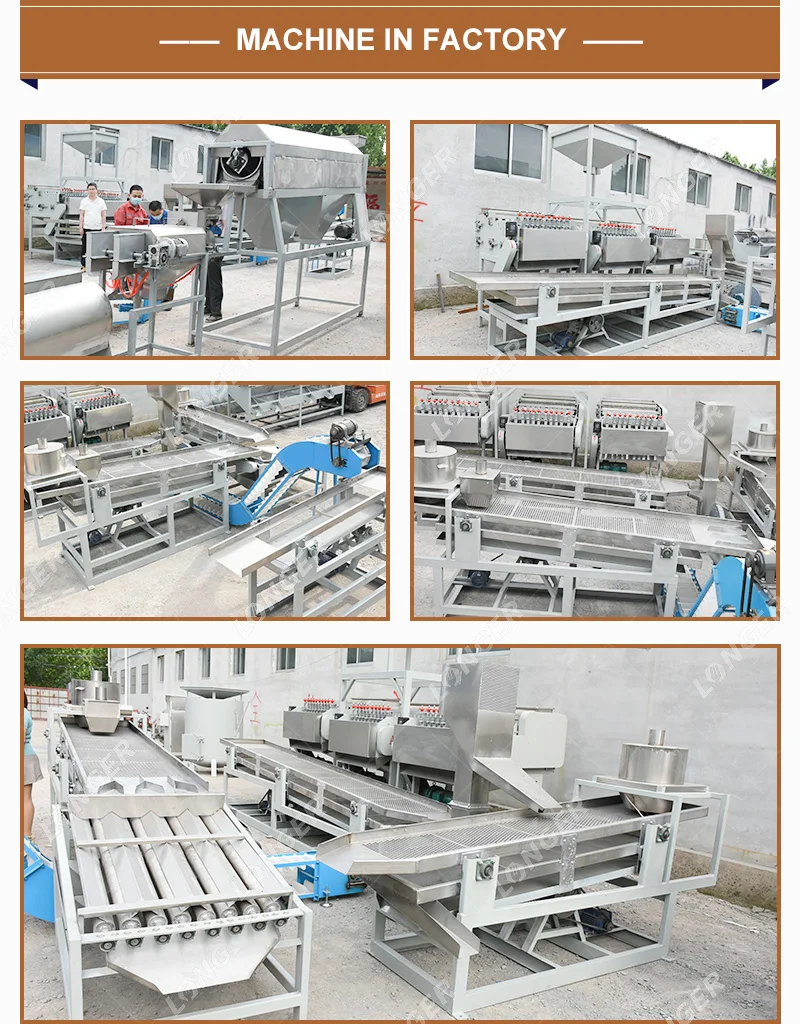 Full Automatic Raw Kaju Caju Production Line Bearing Small Scale Cashew