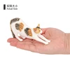 3308 Chat paresseux