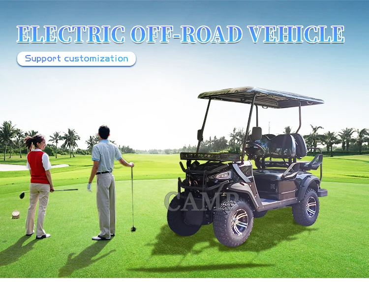 Camp Electric Lifted Gas Golf Cart 2 4 6 8 Seats 4x4 Off Road Type For