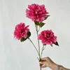 Mei yi 3 lotus rose red