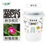 Morning glory planting kit