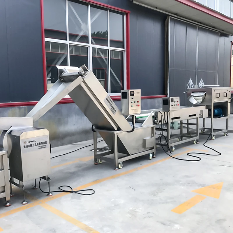 Frozen French Fries Production Line manufacture