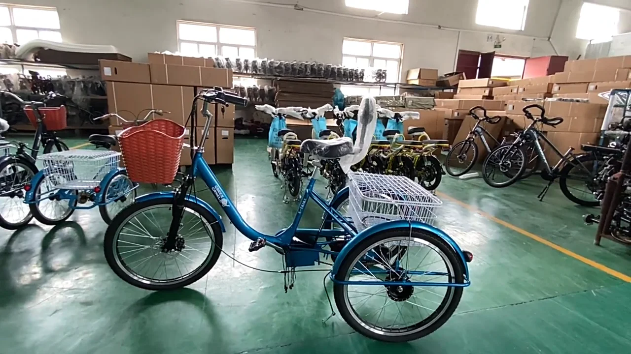 Electric Tricycle 20inch Motorized Electric Tricycle With En