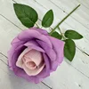 Viola intenso