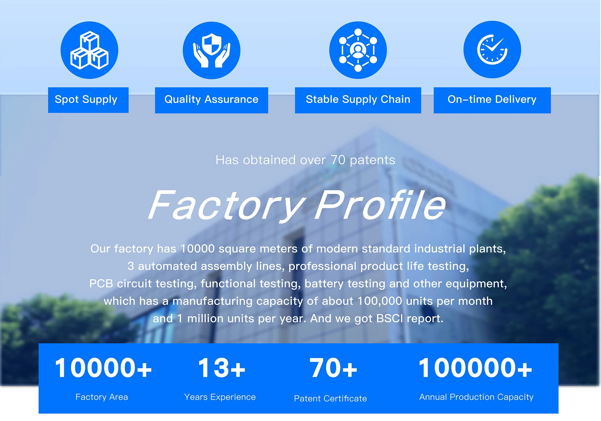 Company overview